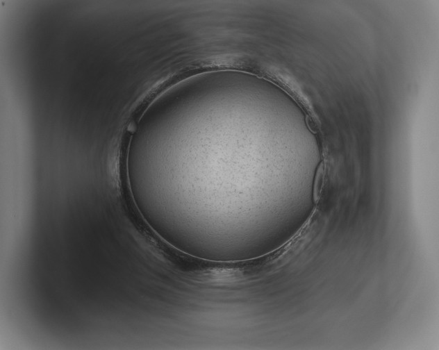 X0000101950154200807251141