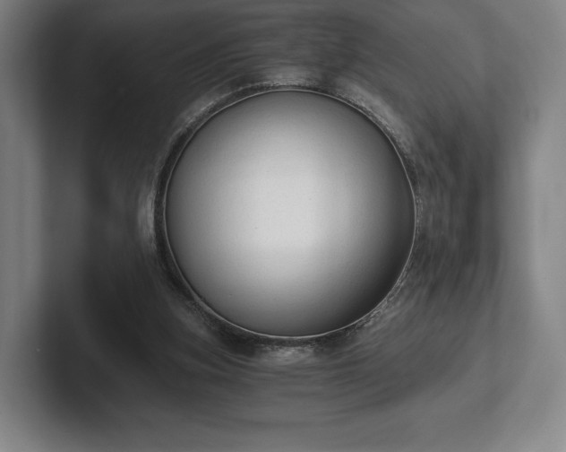 X0000101950155200807251141