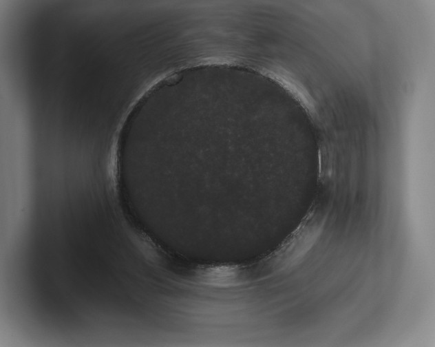 X0000101950156200807251141