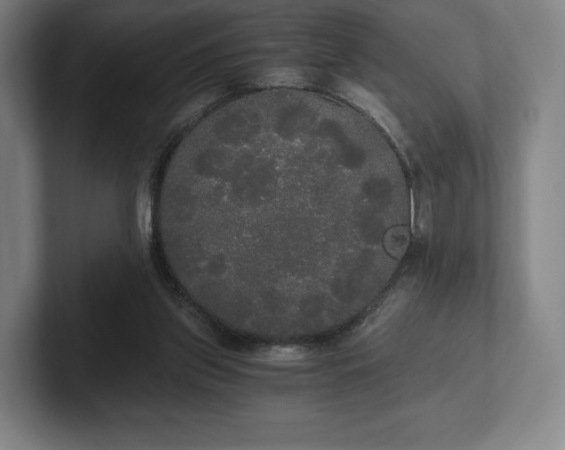 X0000101950157200807251141