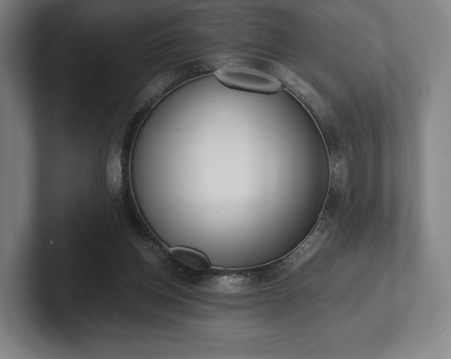 X0000101950158200807251141