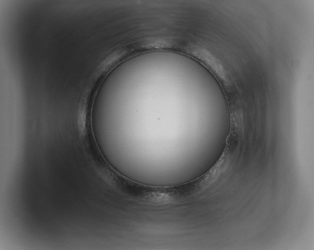 X0000101950159200807251141