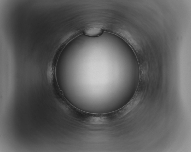 X0000101950160200807251141