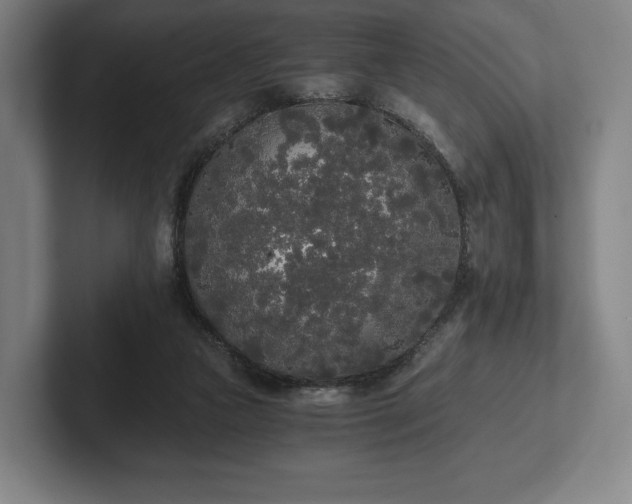 X0000101950161200807251141