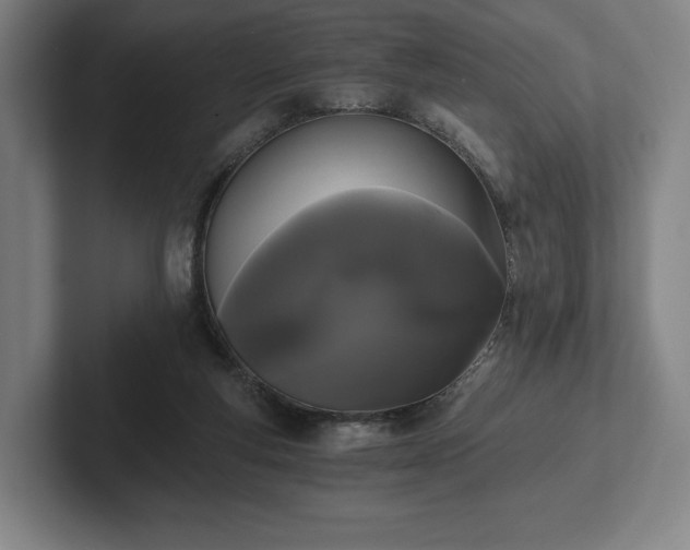 X0000101950163200807251141