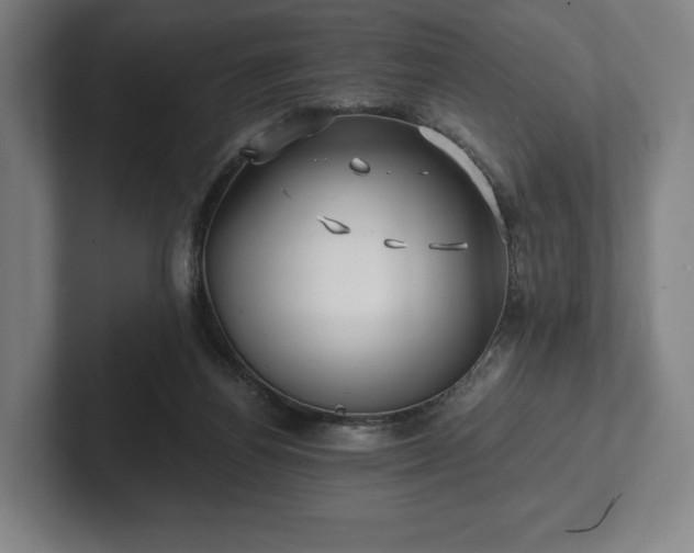 X0000101950164200807251141