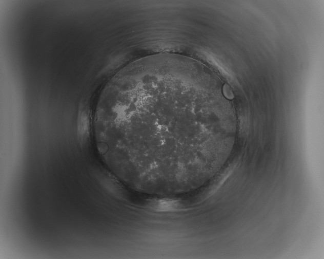 X0000101950165200807251141