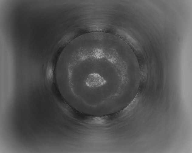 X0000101950166200807251141