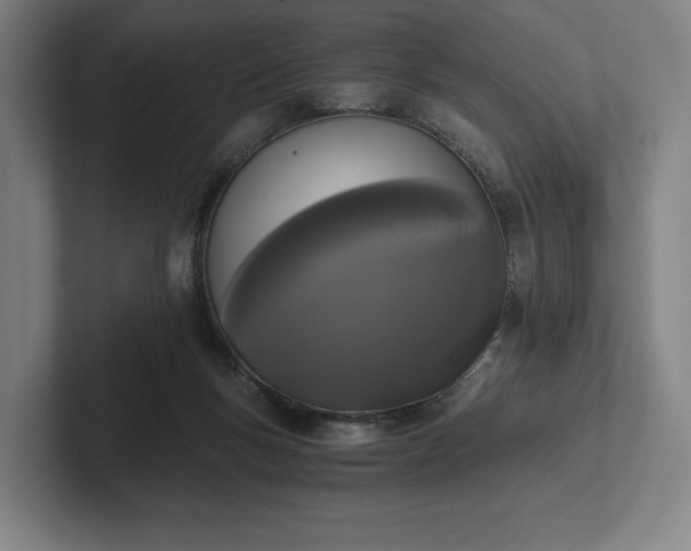 X0000101950167200807251141