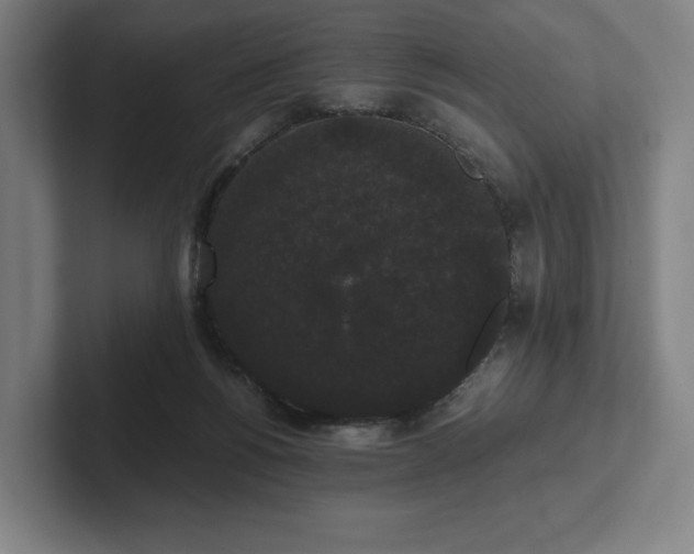 X0000101950168200807251142