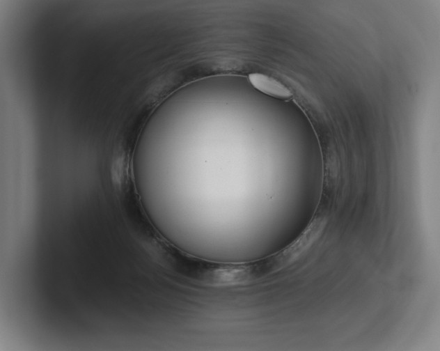 X0000101950172200807251142