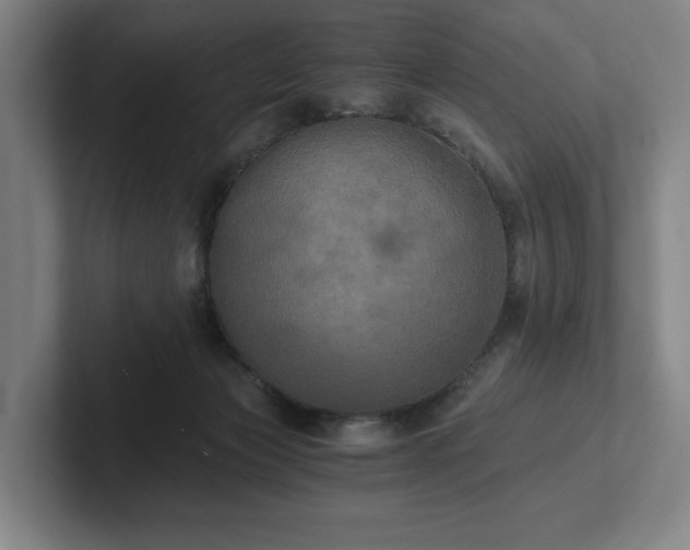 X0000101950173200807251142