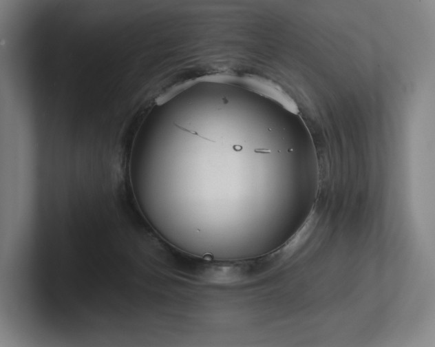 X0000101950174200807251142