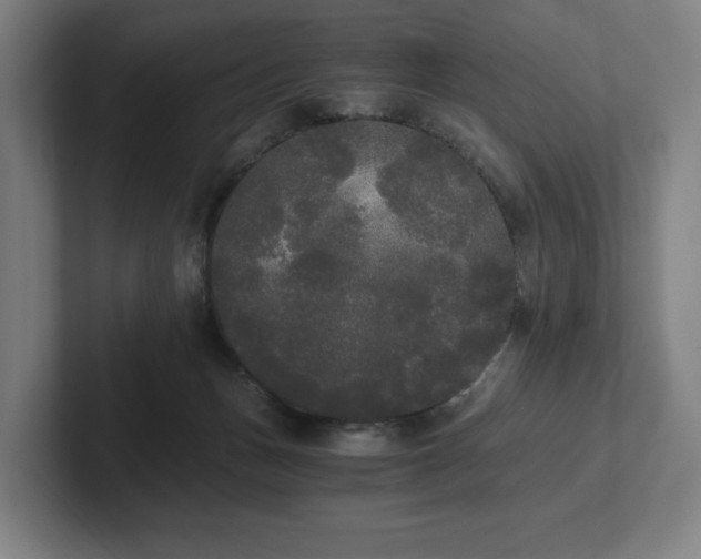 X0000101950175200807251142