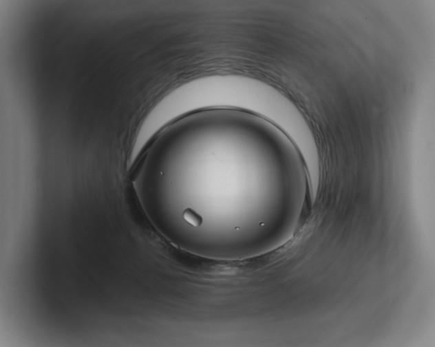 X0000101950176200807251142