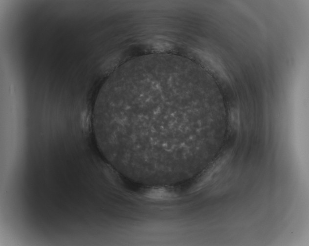 X0000101950177200807251142