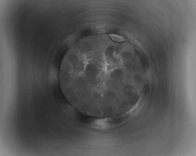 X0000101950178200807251142