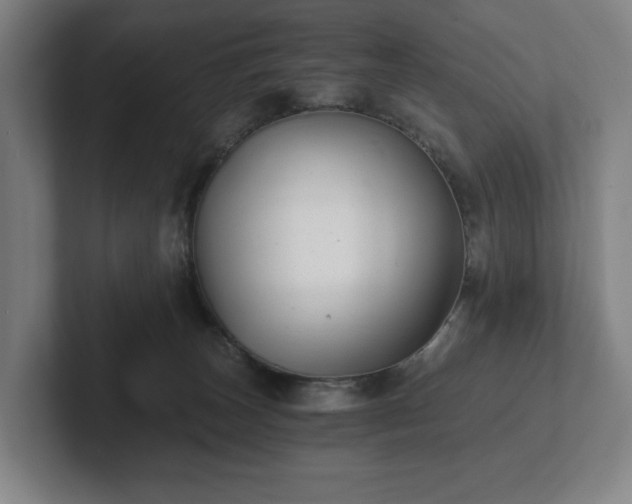 X0000101950179200807251142