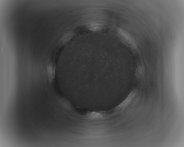 X0000101950180200807251142