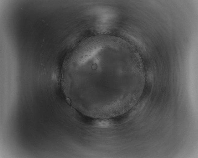 X0000101950181200807251142