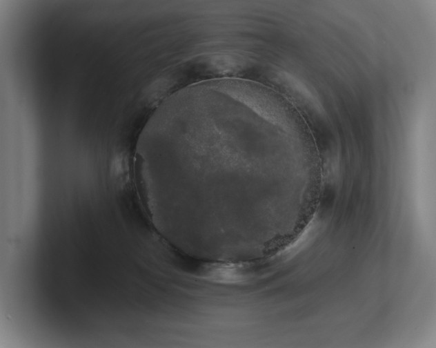 X0000101950182200807251142