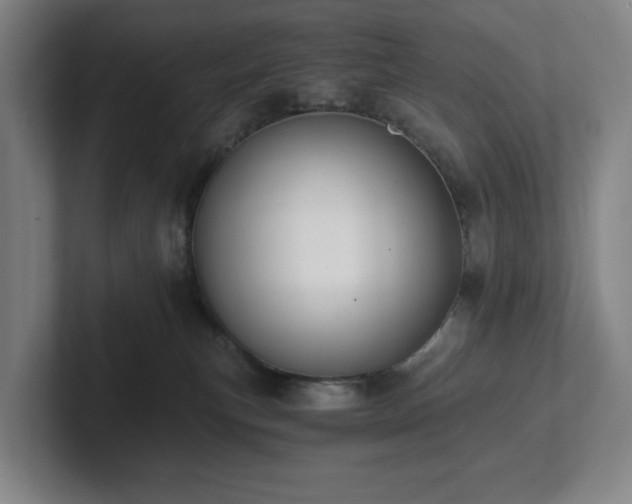 X0000101950183200807251142