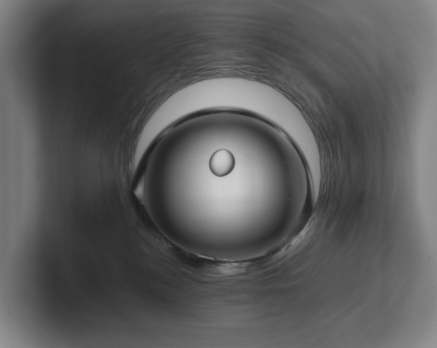 X0000101950184200807251142