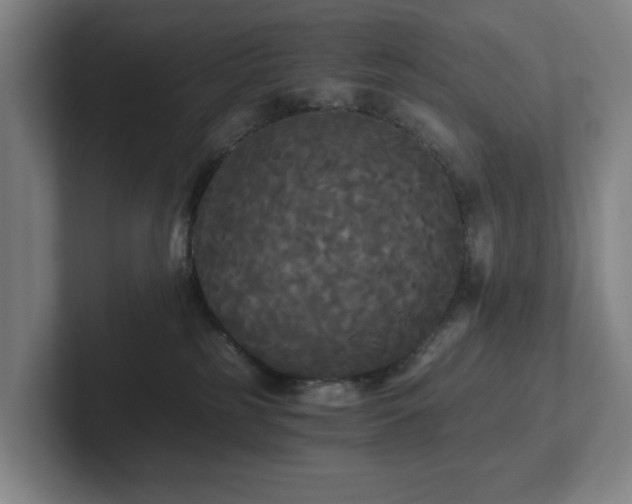 X0000101950185200807251142