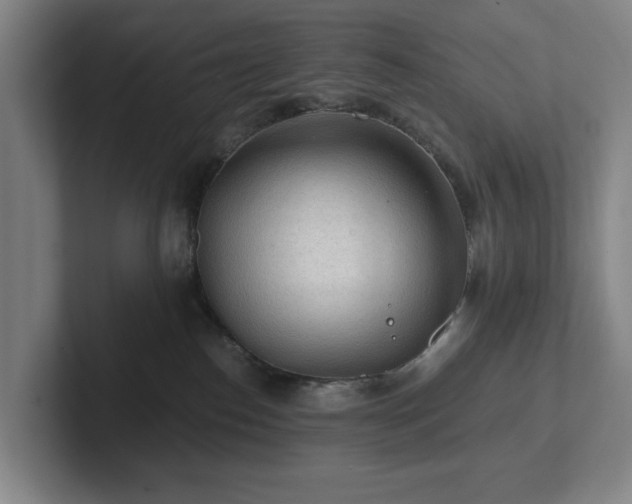 X0000101950186200807251142