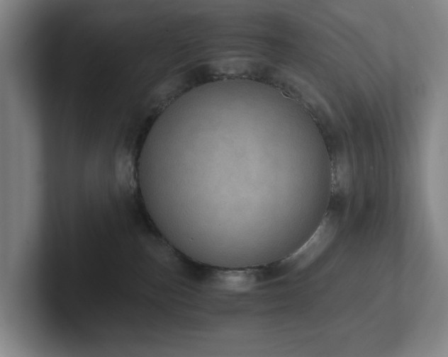 X0000101950187200807251142