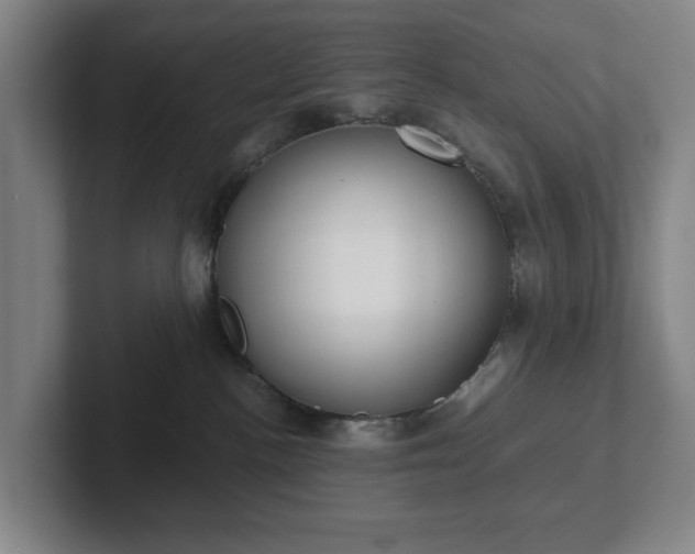 X0000101950188200807251142