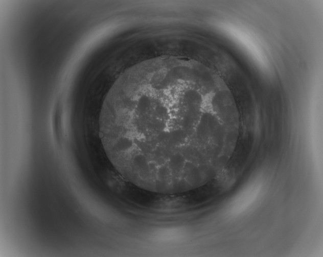 X0000101950189200807251142