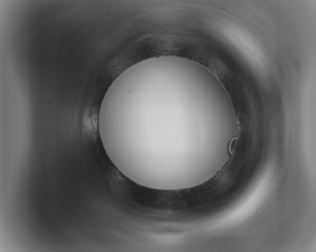 X0000101950190200807251142