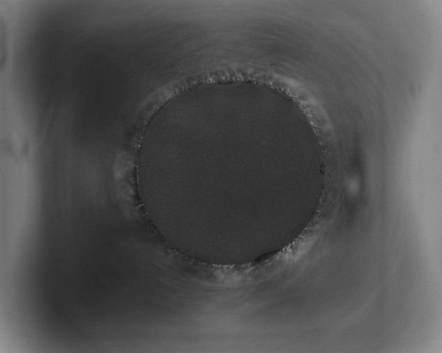 X0000101950192200807251142