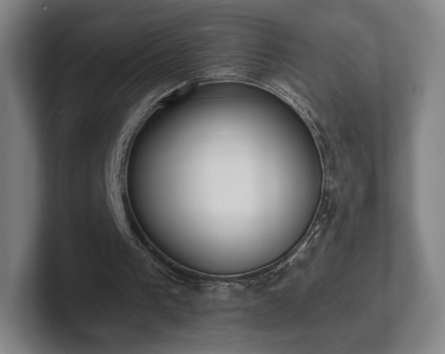 X0000101950193200807251141