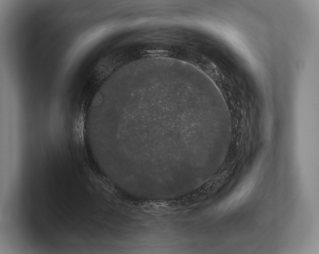 X0000101950194200807251141