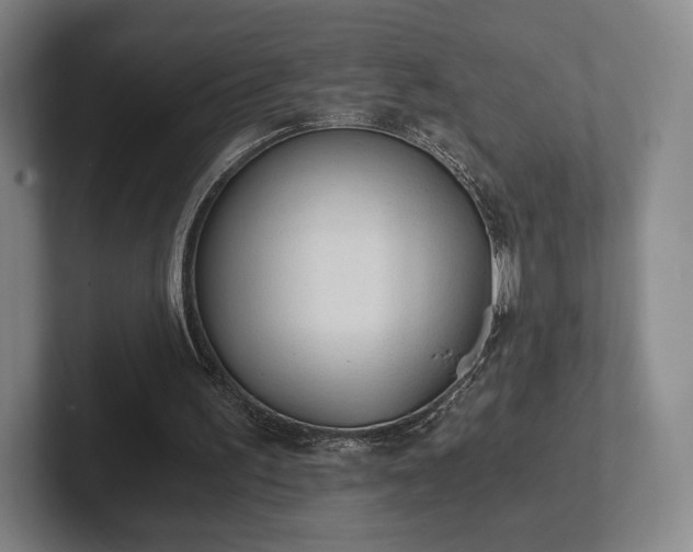 X0000101950195200807251141