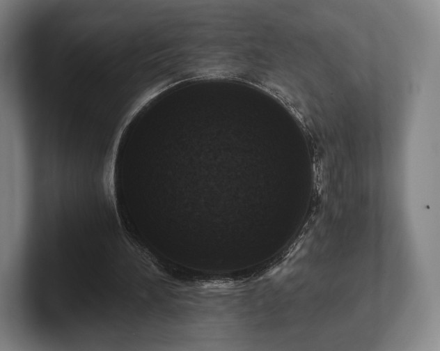 X0000101950196200807251141