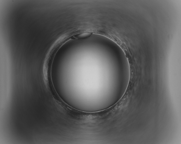 X0000101950197200807251141