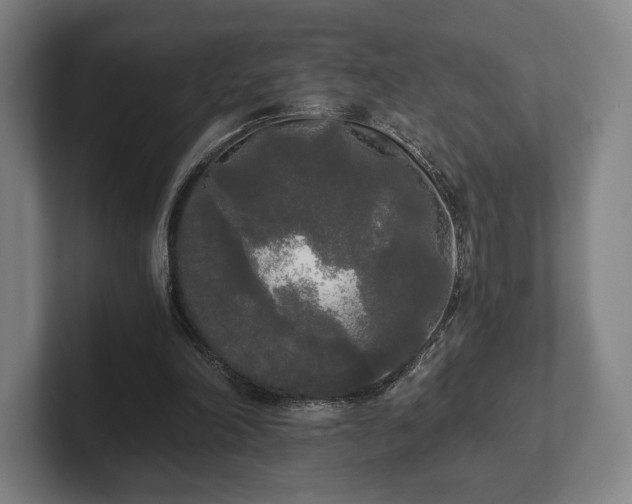 X0000101950198200807251141