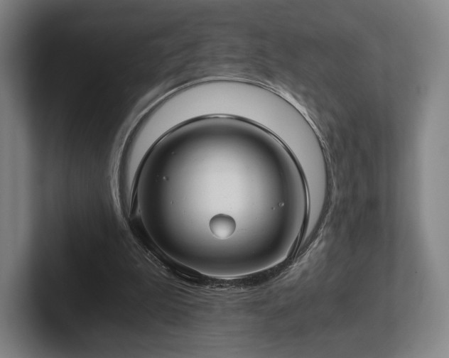 X0000101950199200807251141