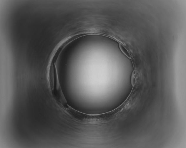 X0000101950200200807251141