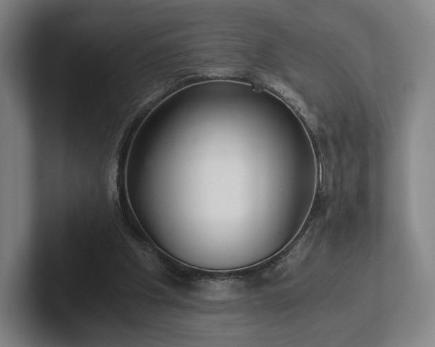 X0000101950201200807251141