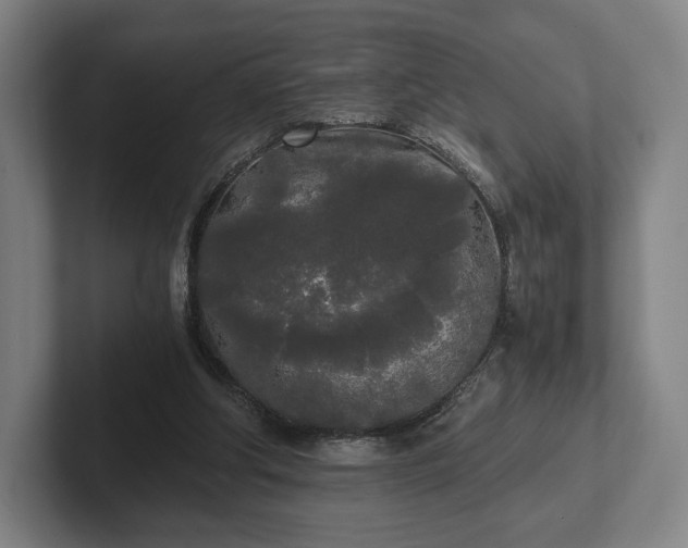 X0000101950202200807251141