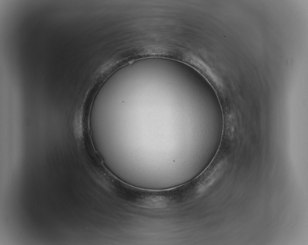 X0000101950203200807251141