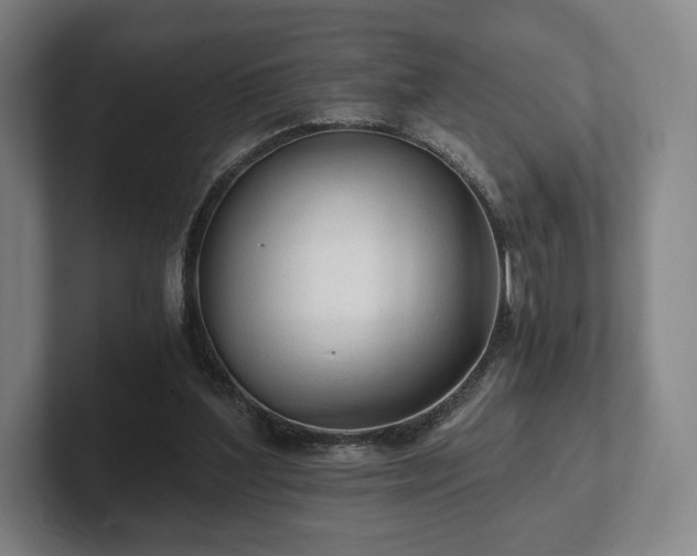 X0000101950204200807251141