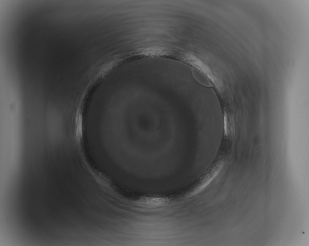 X0000101950205200807251141