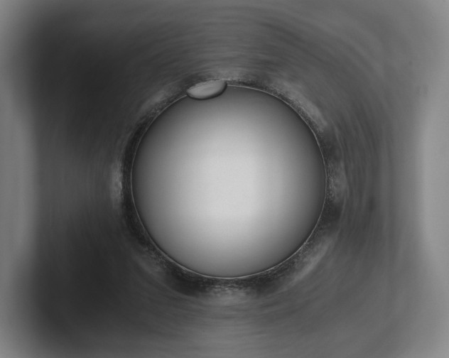 X0000101950207200807251141