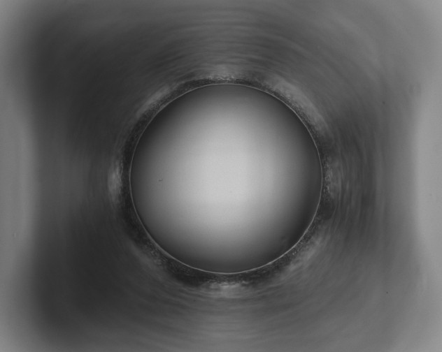 X0000101950208200807251141