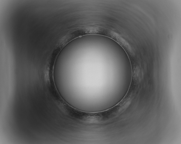 X0000101950209200807251141